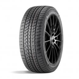 Doublestar Winterking DW02 195/65R15 91T